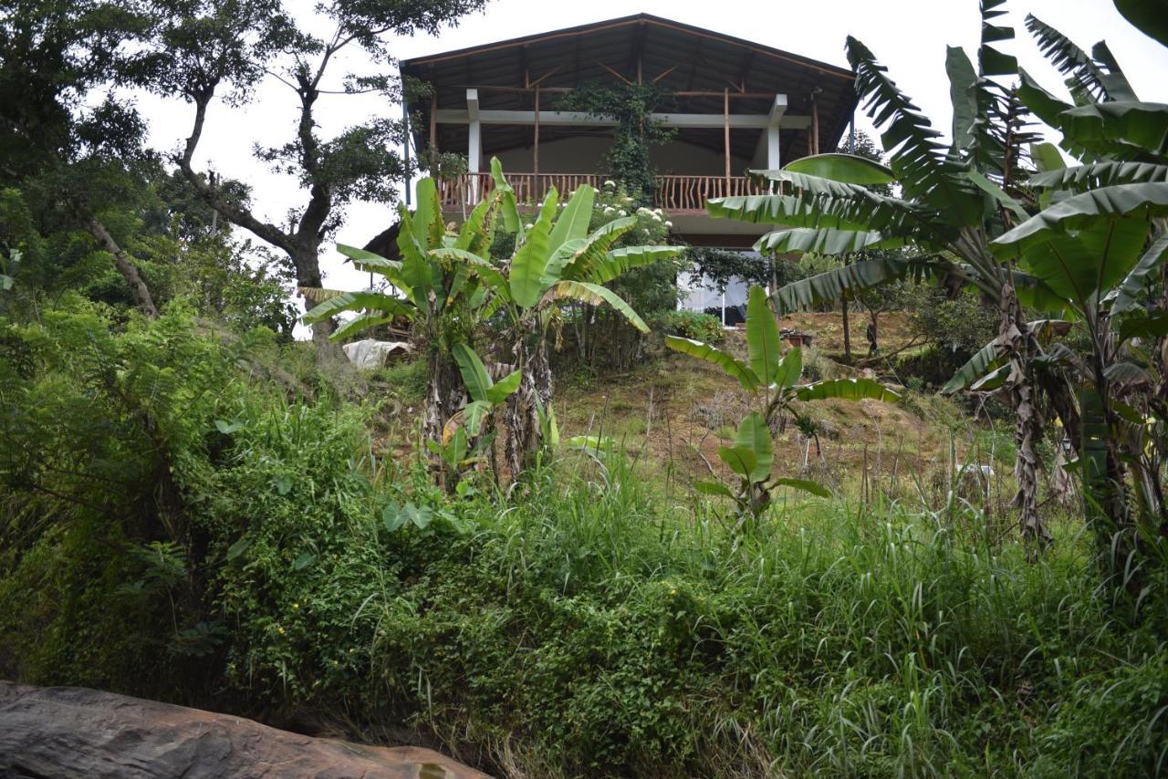 Ella Rock Grun Cottage Buitenkant foto